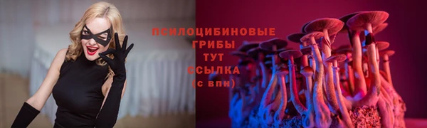 дмт Алзамай
