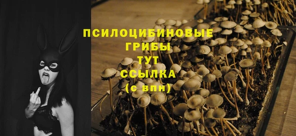 ешки Алексеевка