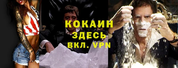 ешки Алексеевка