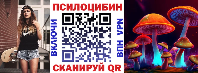 Псилоцибиновые грибы мухоморы  даркнет сайт  Железногорск-Илимский 